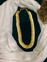 Peacock and Lakshmi Kasu Haram - NH00261